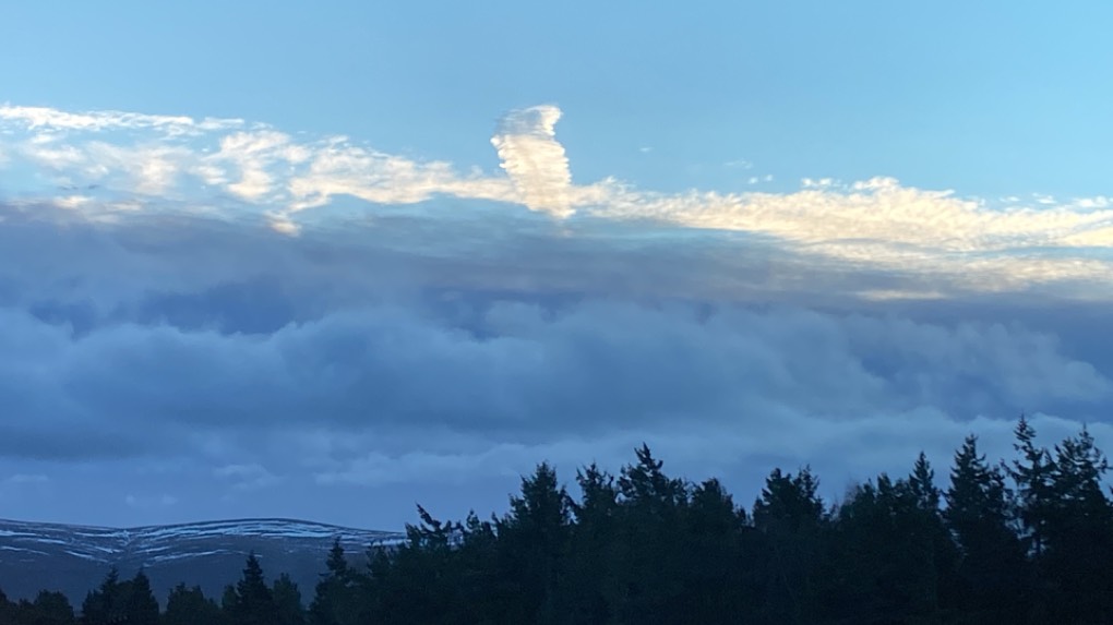 Grantown on Spey, Scottish Highlands, Vapour trail or feather? ...