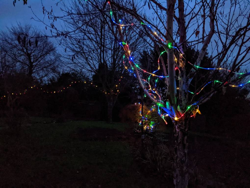 Berkhamsted, Herts, Christmas lights...