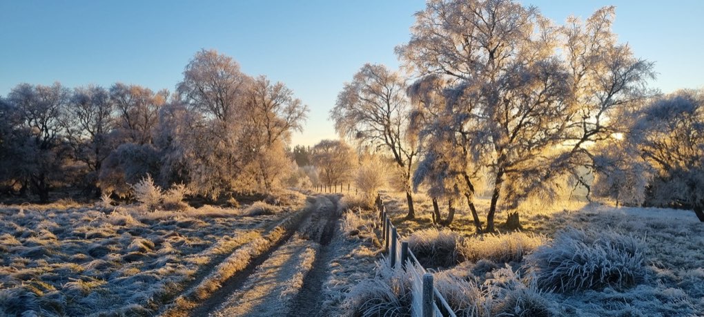 Grantown on Spey, Scottish Highlands, After the fog lifted…....