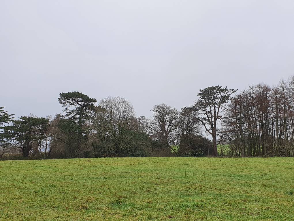 Cardiff Countryside, Cardiff, Winter's day...