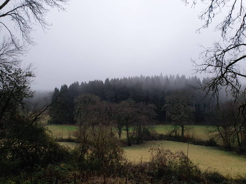 Cardiff, Cardiff, Grey mild winter's day...