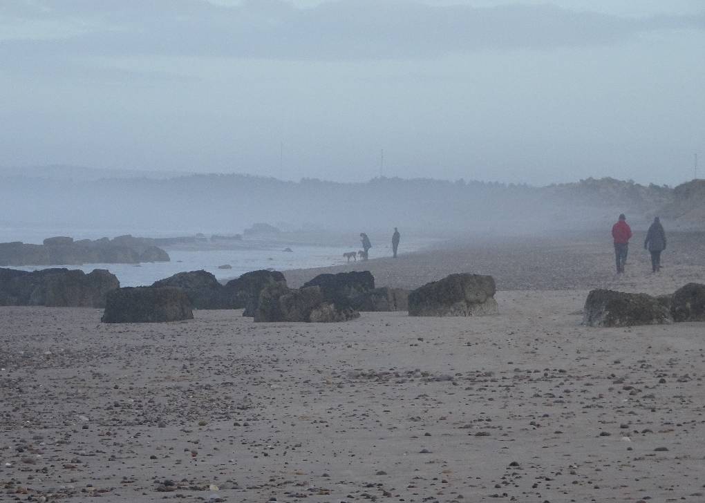 Forres, Moray, Sea mist (locally called Haar), gentle onshore wind, beach at Findhorn, 4 F...
