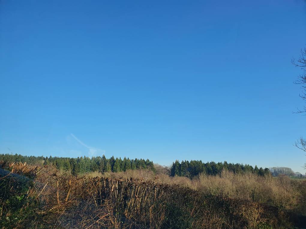 Cardiff, Cardiff, Sun in the mountains, fog in the valleys...