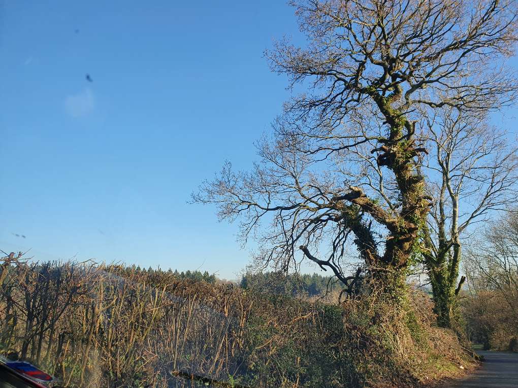 Rudry, Caerphilly, Fine winter's day...