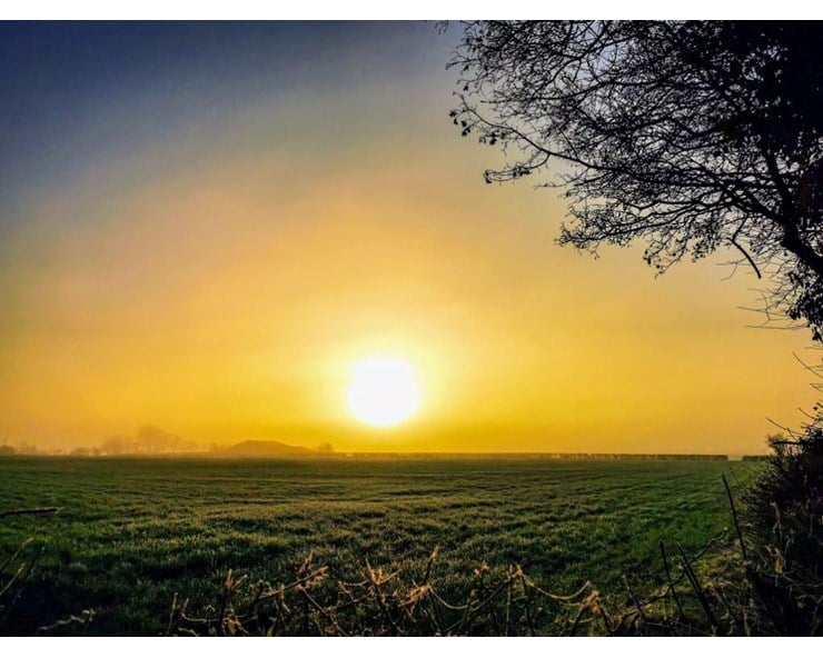 Sunrise through the fog. Posted by glynnadams68