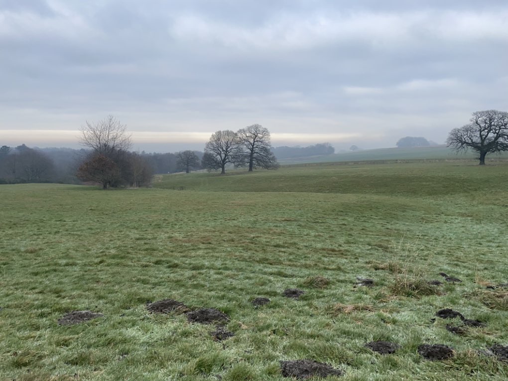 Wortley, Yorkshire, Amazing cold crispy winter morning in Wortley ...