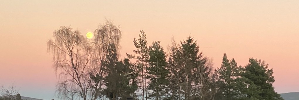 Grantown on Spey, Scottish Highlands, Moonlight. ...