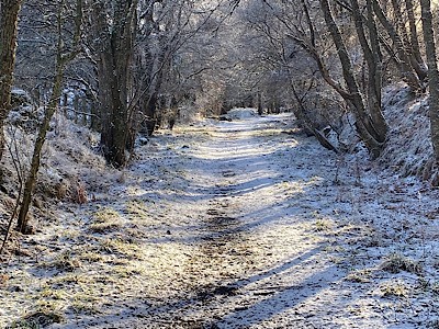 Grantown on Spey, Highlands, Yesterday’s snow (4/2/22)...