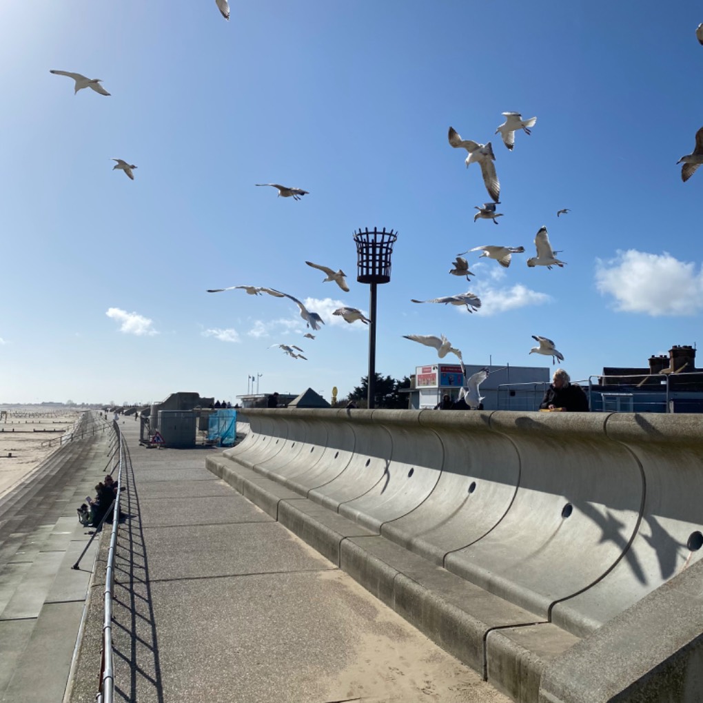 Dymchurch, Kent, Sunny spring afternoon a flock of seagulls ...