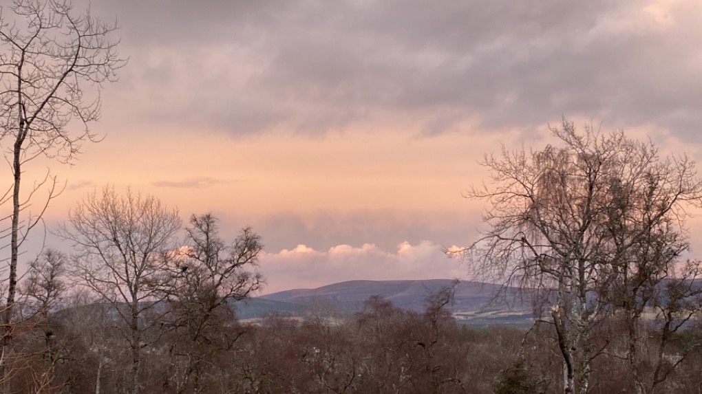 Grantown on Spey, Highlands, Fine sunset (facing east)…...