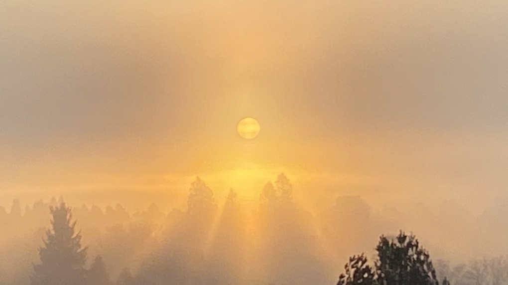Grantown on Spey, Highlands, Misty sunrise ...