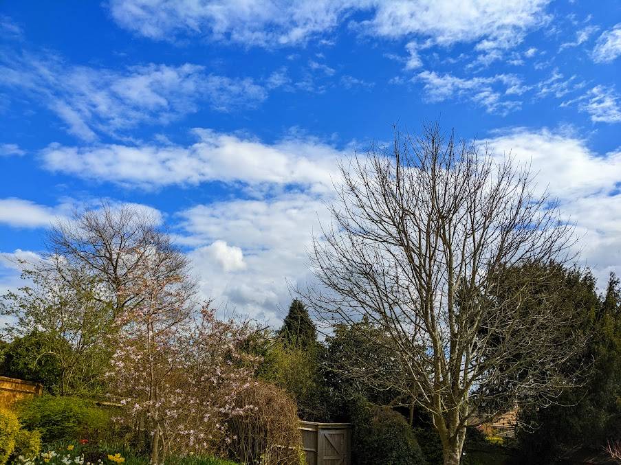 Berkhamsted, Herts, Pleasant spring weather...