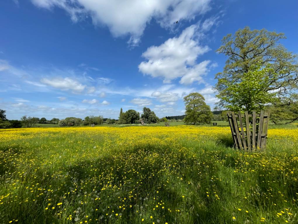 Chippenham, Wiltshire, Lacock 13th May 2022...