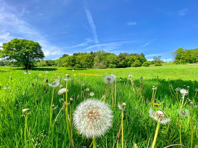 leek, staffordshire, Beautiful afternoon after a cool cloudy start.....