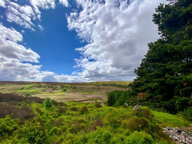 leek, staffordshire, Nice on the moors but with a chill in the air.....