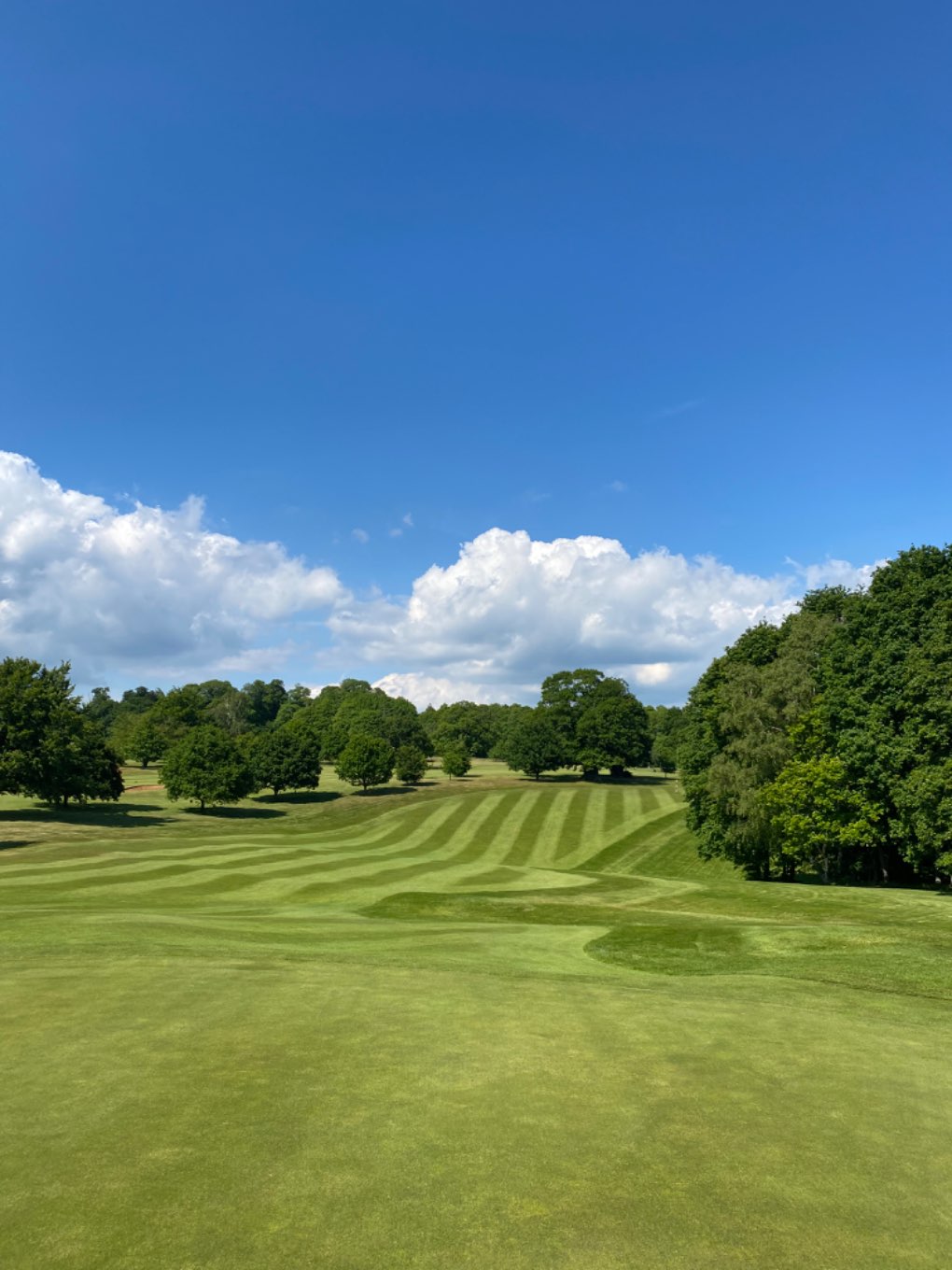 Midhurst, , Fair weather cumulus at Cowdray Park...