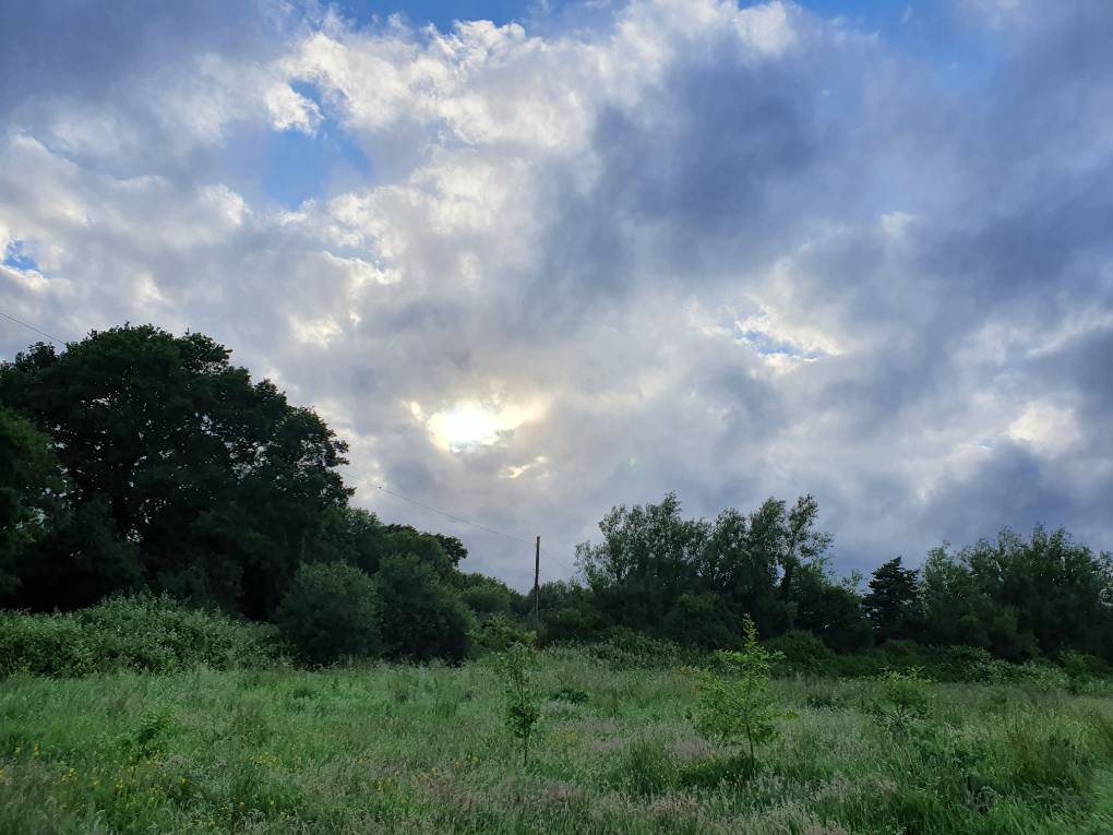 Cardiff, Cardiff, Changeable ...