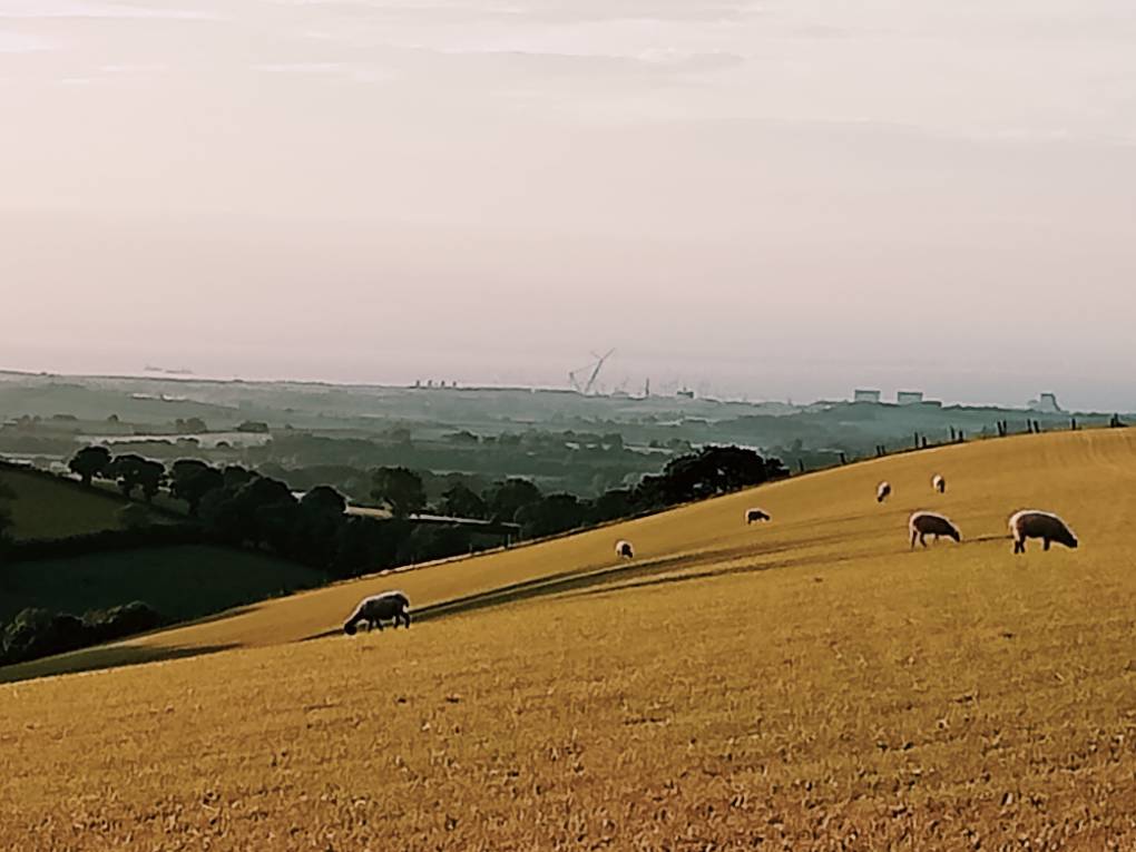Bridgwater, Somerset, Sunset over the Bristol Channel ...