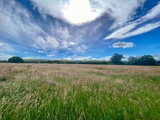 leek, staffordshire, windy meadows yesterday.....
