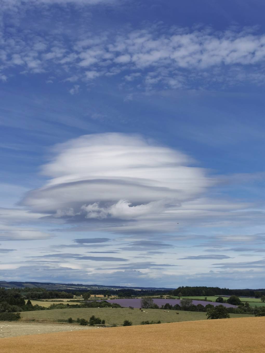 Auchterarder, , Fair weather (hot for us) cloud...