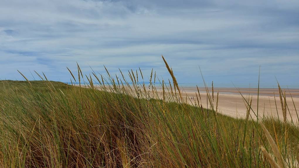Formby, Merseyside, Overlooking Formby beach on a very warm summer's day....