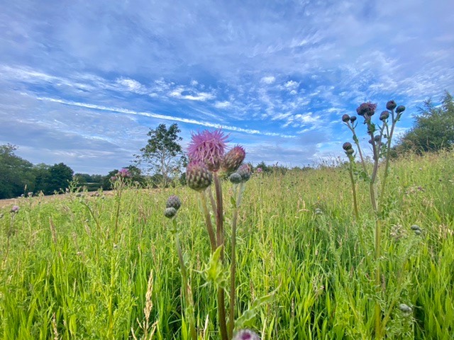 leek, staffordshire, very warm day today.....