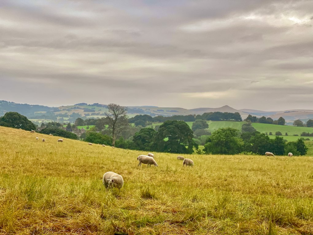 leek, staffordshire, Very wet morning,much needed though after the heat.....