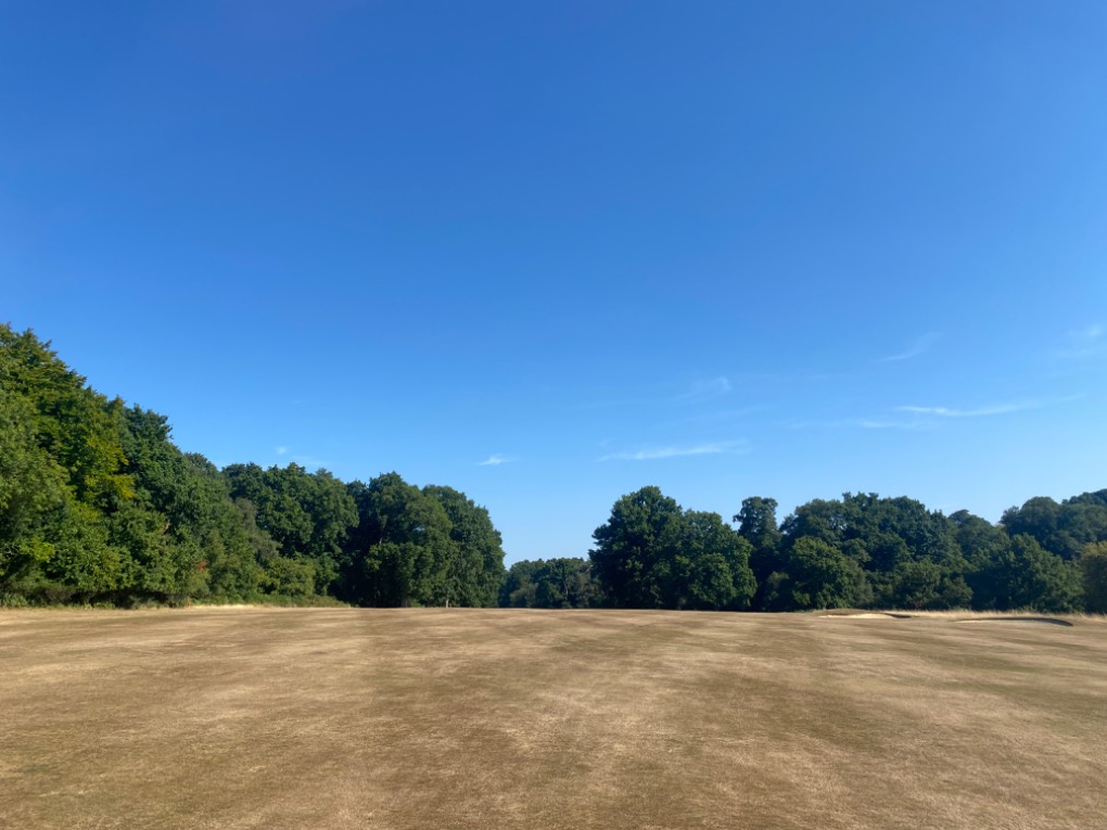 , , Mannings Heath Golf Course, crying out for rain ...
