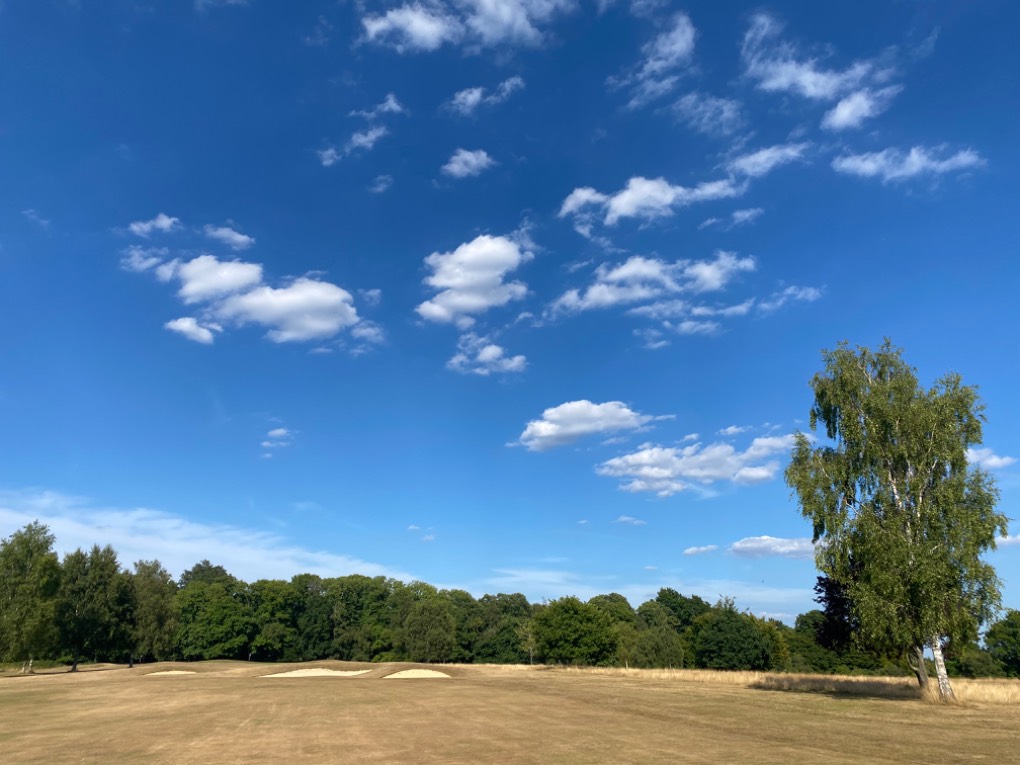 , , Mannings Heath golf course, crying out for rain...