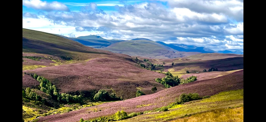 Tomintoul, , ...