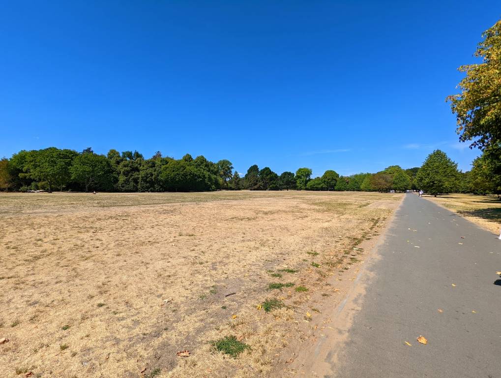 London, , Regents Park, not the Sahara. August 2022....