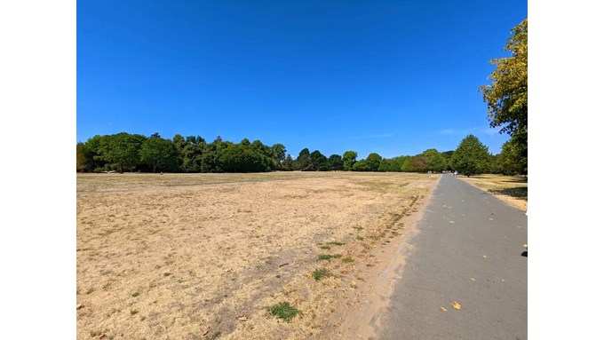 Regents Park, not the Sahara. August 2022. Posted by brian gaze