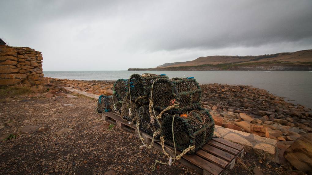 Kimmeridge, Dorset, A Grey Day...