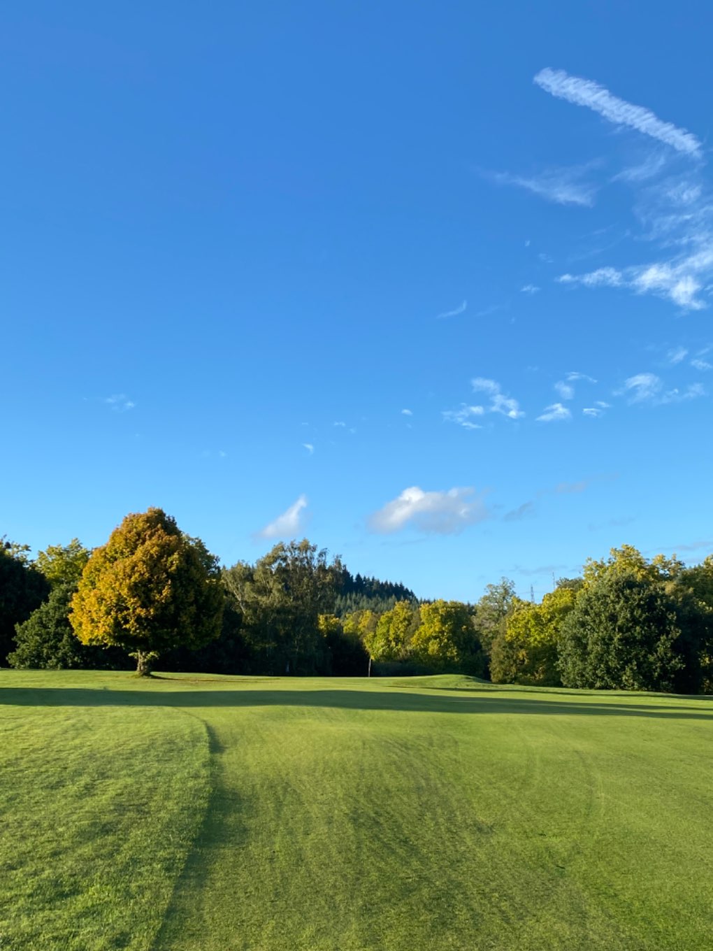 , , Autumn’s true splendour, Cowdray Park, Midhurst...