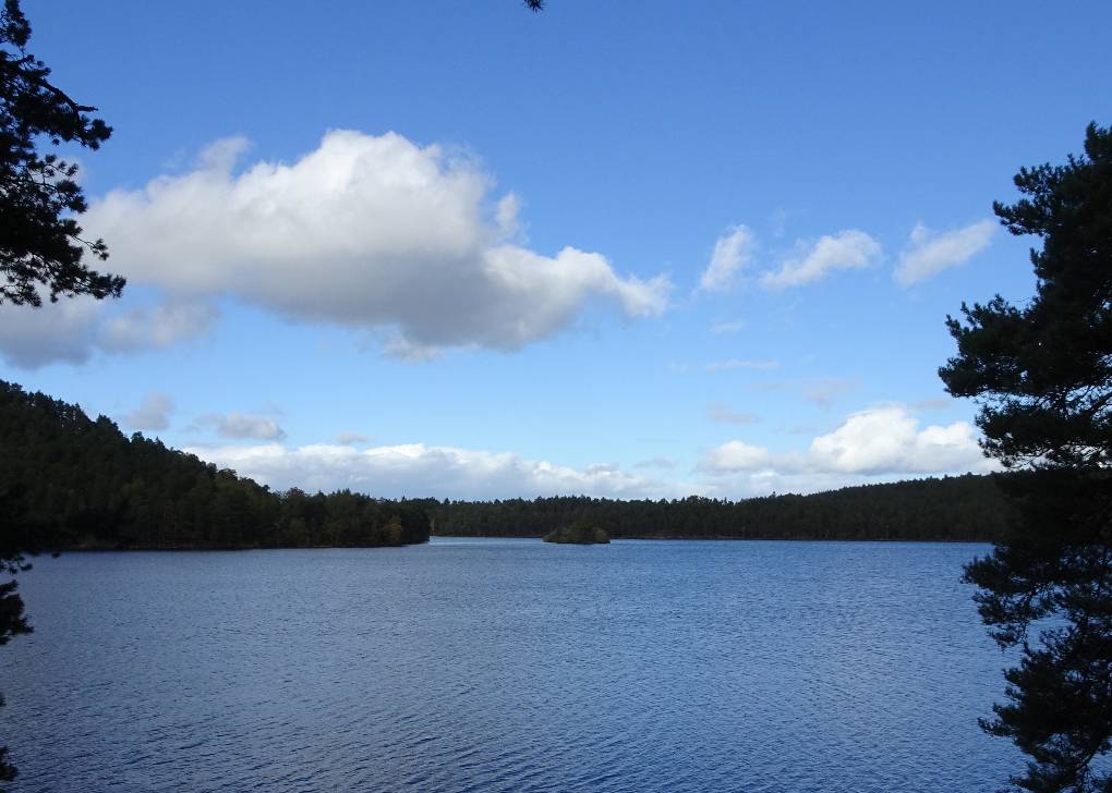 Aviemore, Badenoch and Strathspey, Over Loch Garten, 5 10 '18...