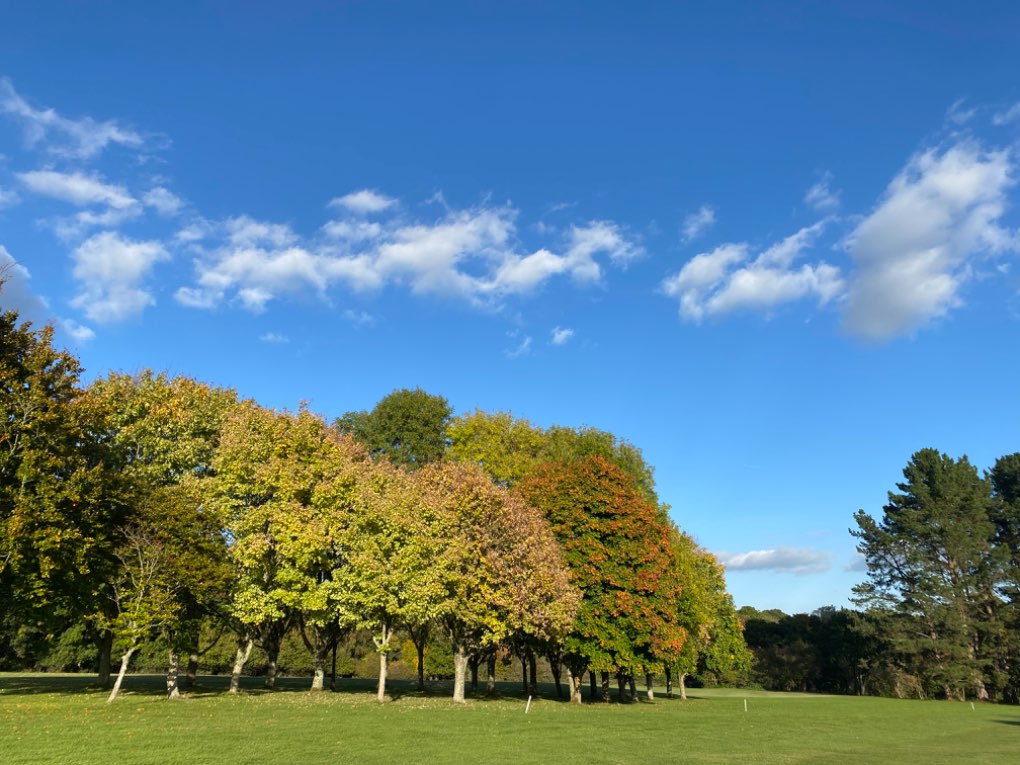 Horsham, , Autumn’s glorious colour, Mannings Heath golf club...