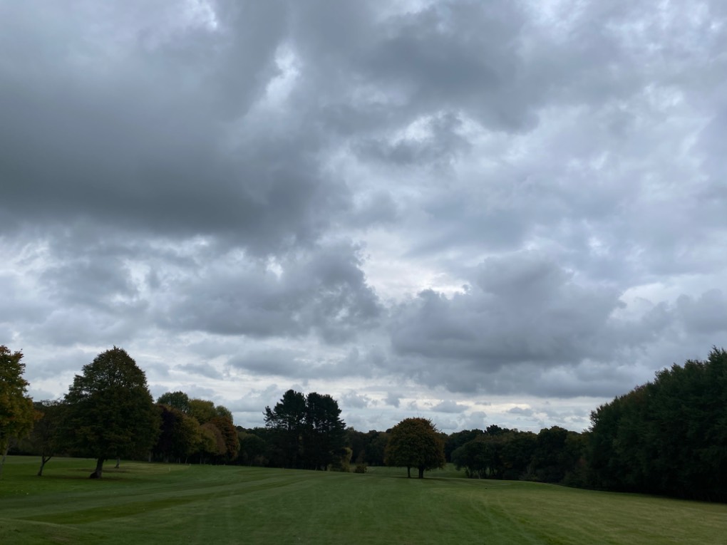 , , Cloudy but very mild, at Mannings Heath Golf Club...