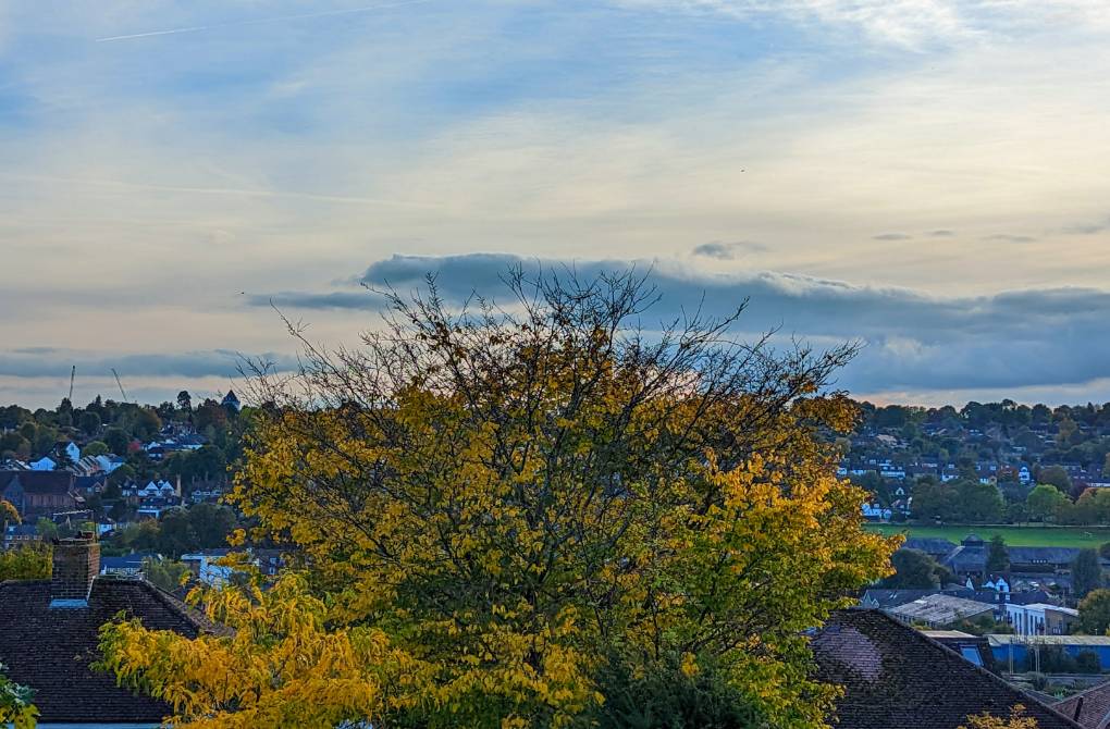 Berkhamsted, Herts, Autumn colours on display...