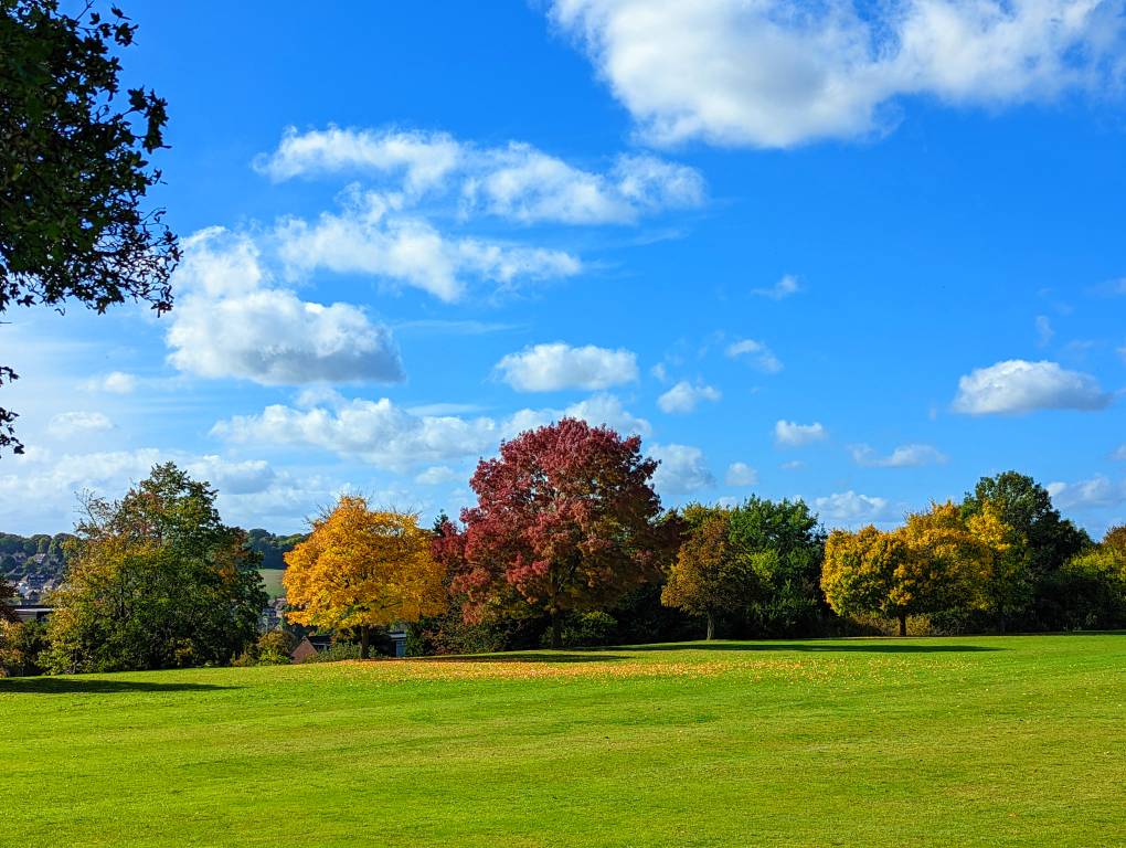 Berkhamsted, Herts, Stunning autumnal colours in the Chilterns...