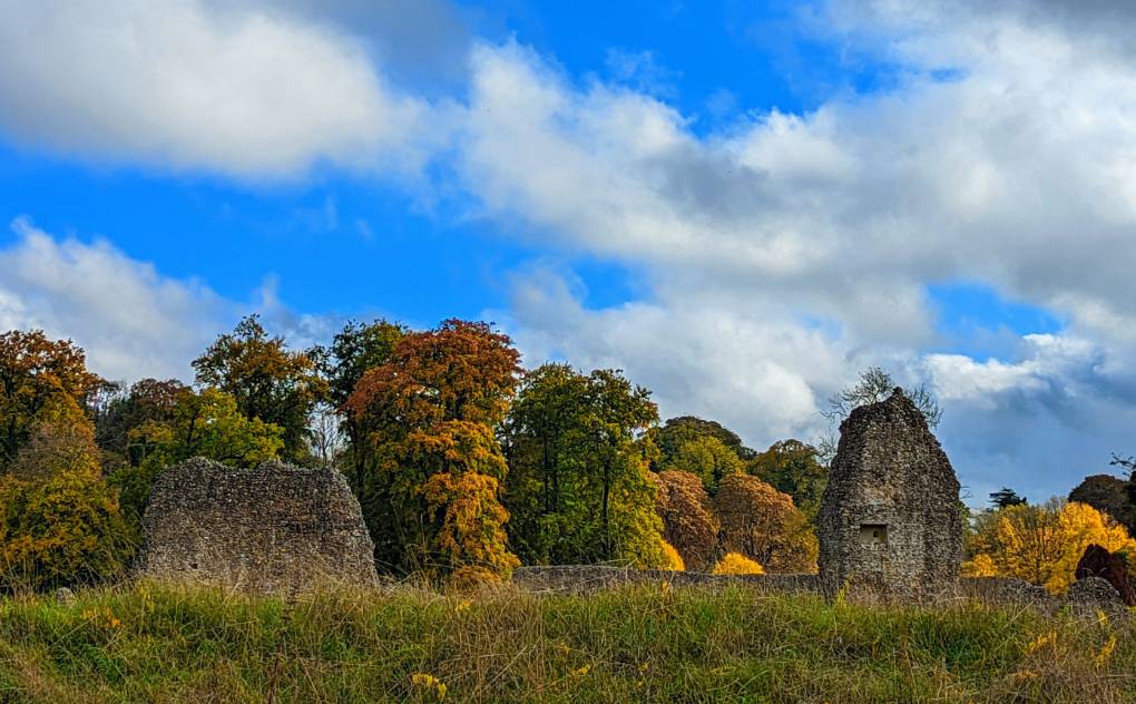 Berkhamsted, Herts, Berkhamsted Castle in the autumn sunshine...