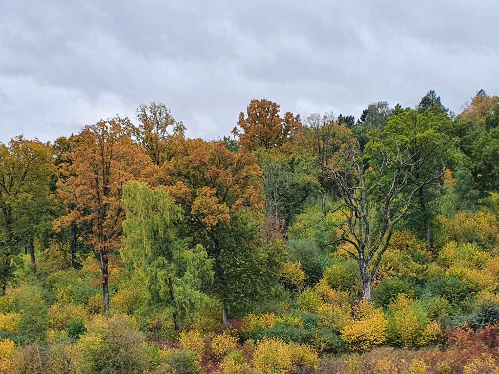 Willesley, Gloucestershire, Autumn at Westonbirt ...