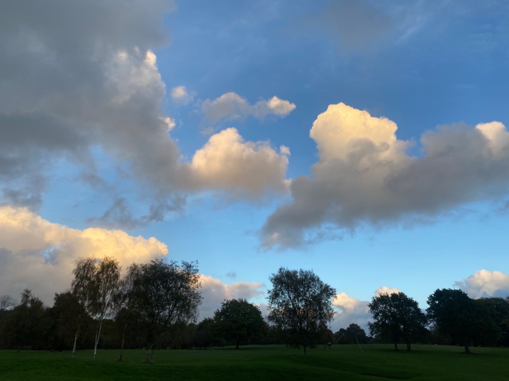 Horsham, , The day’s last gasp...