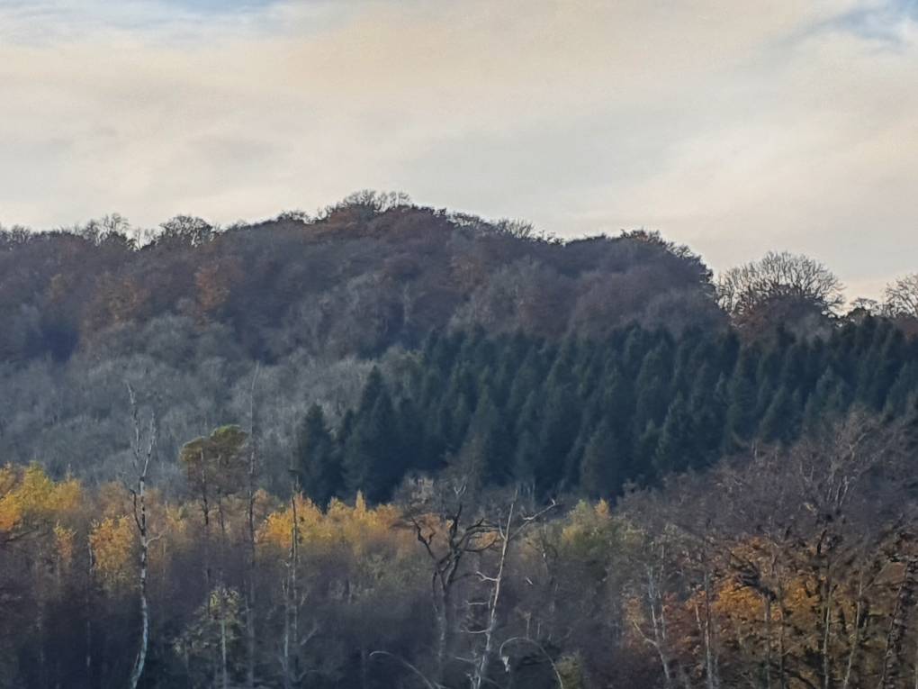 Caerphilly, Caerphilly, Autumn day...