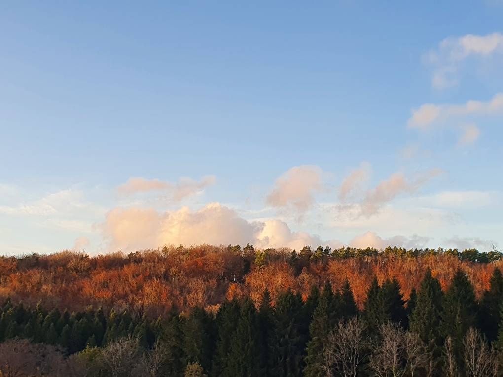Cardiff, Cardiff, Autumn sunshine...