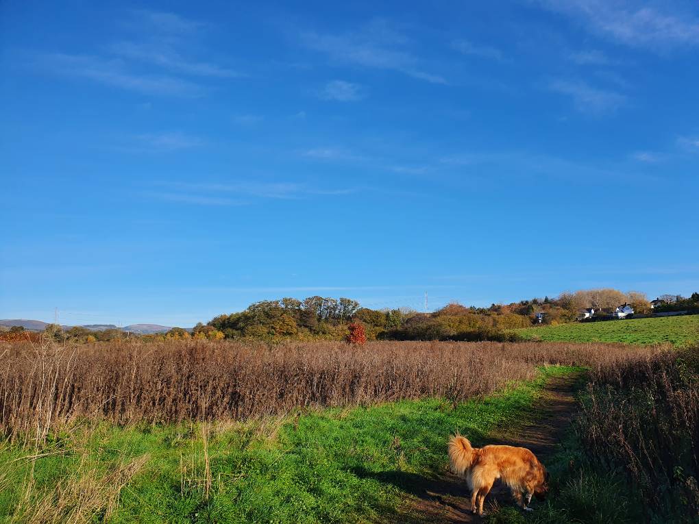 Cardiff, Cardiff, Autumn sunshine...