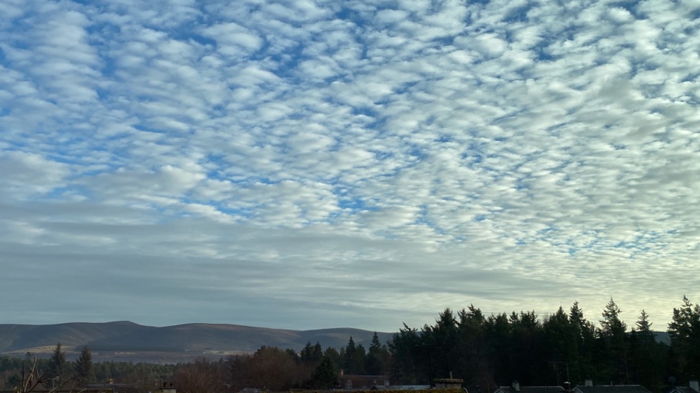 Grantown on Spey, Highlands, Beautiful winter’s day…....