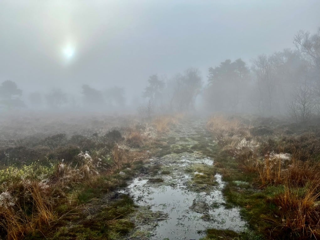 Foggy and feeling cold.. leek, staffordshire,, sent by toppiker60
