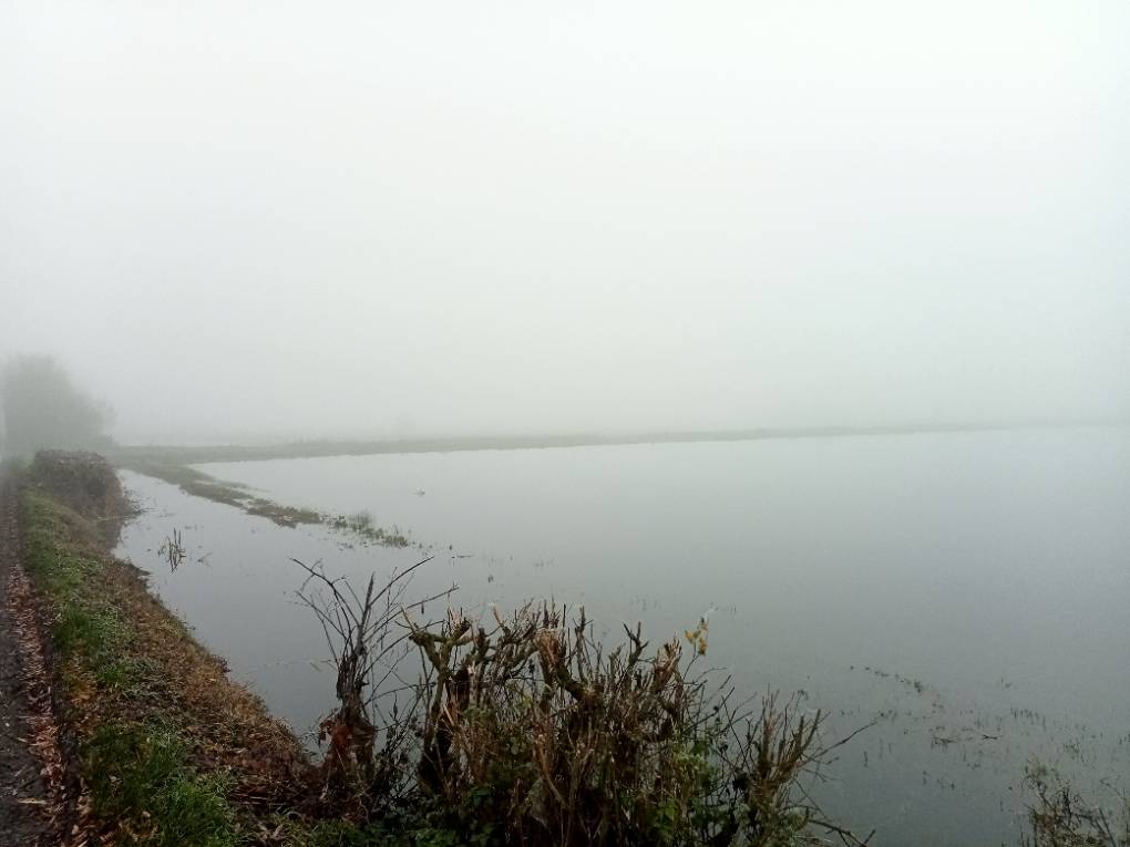 Bridgwater, Somerset, Floods and fog ...