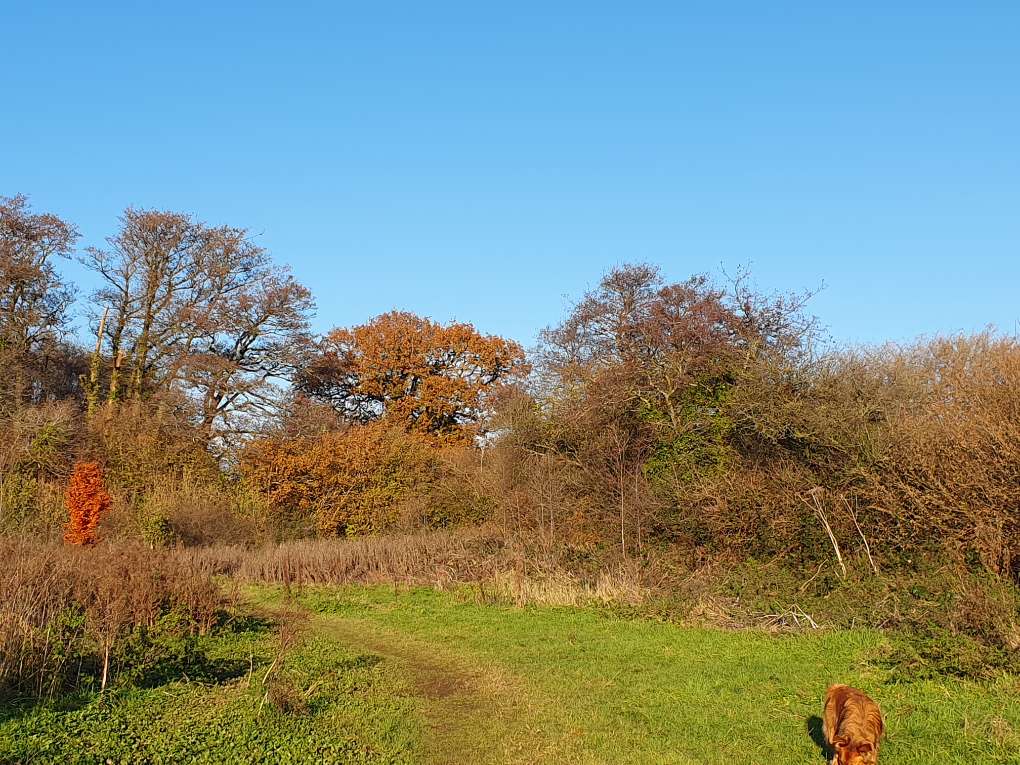 Cardiff, Cardiff, Winter's day...