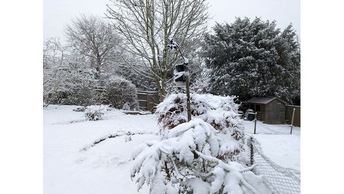 Snow on December 12th 2022. Posted by Brian Gaze